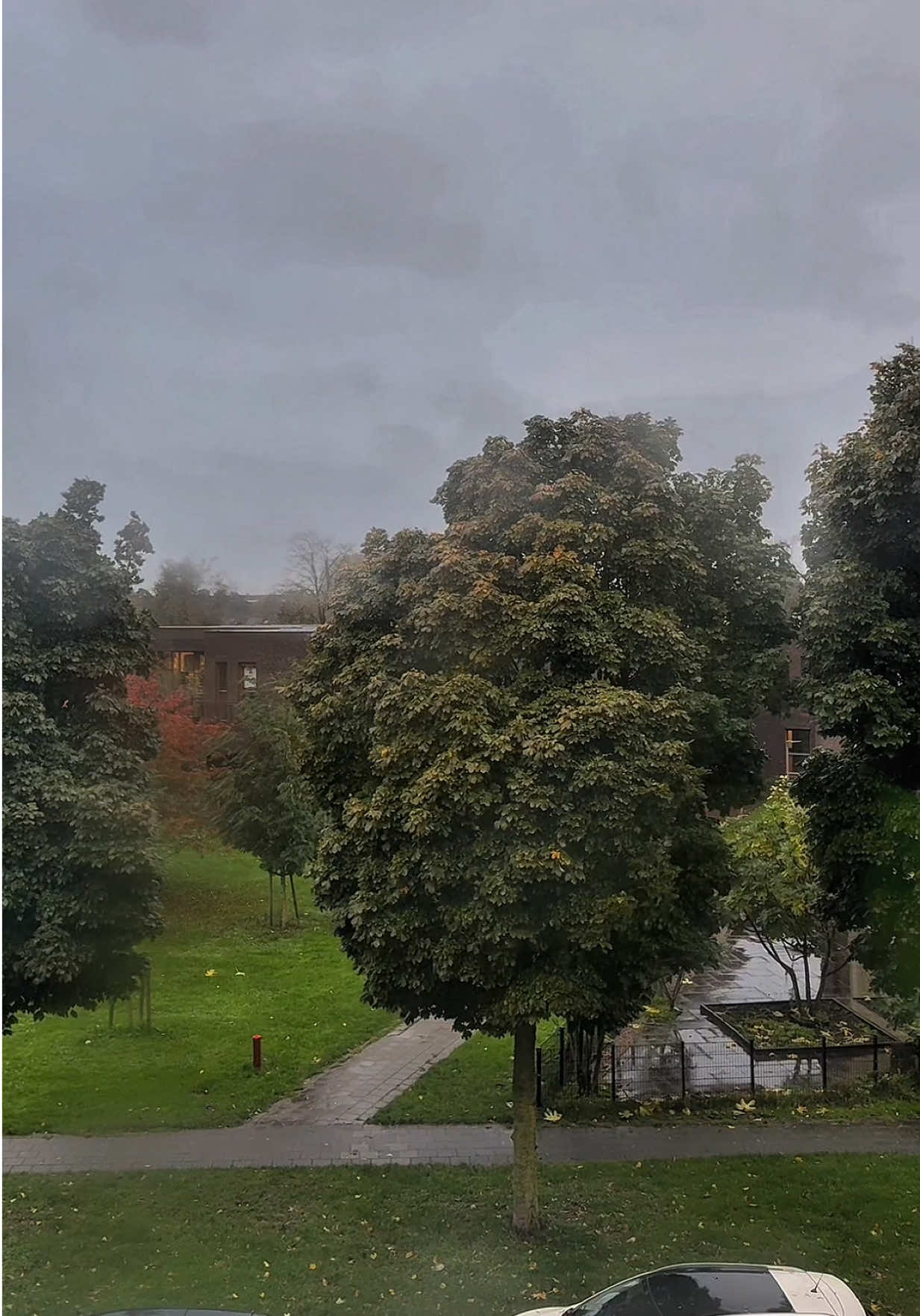 My favorite weather (when I’m inside 😌) 🍁☔️🌧️  #creatorsearchinsights #fall #fyp #rainy #rainyday 