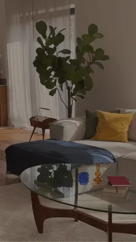 Buying your first home? Here are 3 tips I wish every buyer knew: 💰Get pre-approved first – It shows sellers you’re serious and gives you a clear budget. 🔦Don’t skip the inspection – Even new-looking homes can have costly hidden issues. 🏘️Think long-term – Look beyond finishes and ask: will this home work for you in 5+ years? Ready to start house hunting the smart way? Follow for more real estate tips and tricks!