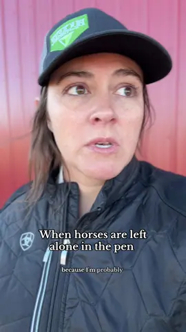 The good news is that nobody overreacted  #horses #ranchlife #horsehumor #horsetok #horselife 