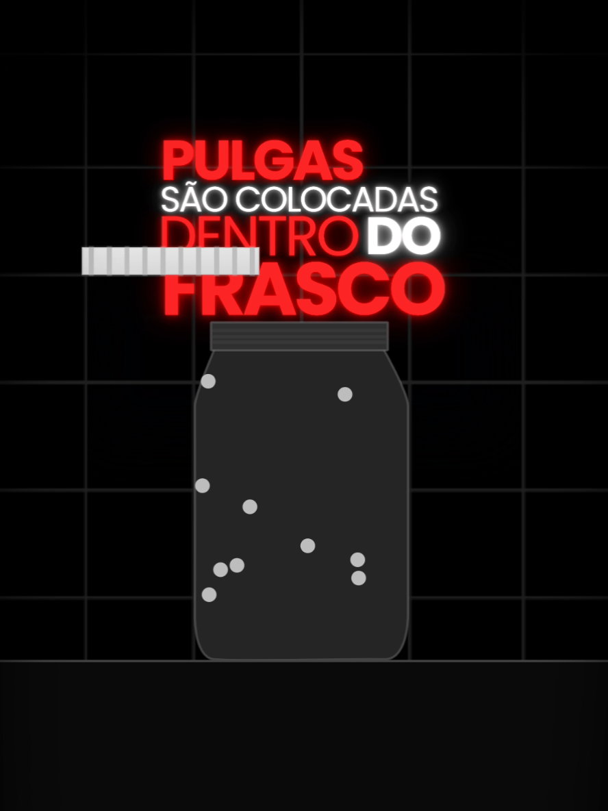Vivemos presos em frascos invisíveis Algumas prisões não têm muros — têm medo, rotina e lembranças. E é por isso que tantos vivem livres, mas não se sentem assim. #motivation #reflexion #edit #viral #fyp 