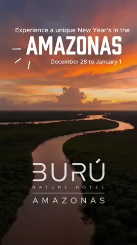 ✨ Celebrate New Year’s Eve in the Amazon ✨ Escape the ordinary and welcome 2026 surrounded by nature, stars, and serenity 🌿 📍 Burú Nature Hotel – Leticia, Amazonas Limited spots available 🌴 👇 Book Here 👇 📞 +57 304 5338943  ⸻ #BurúNatureHotel #AmazonasColombia #EcoHotel #NewYearsGetaway #JungleRetreat #HiddenParadise #LuxuryInNature #TravelColombia #SustainableTravel #NatureEscape #ExploreColombia #JungleLodge #AdventureTok #TravelTok #ForYou #FYP #ViralTravel #LuxuryTravel #EcoTourism #ColombiaVibes 