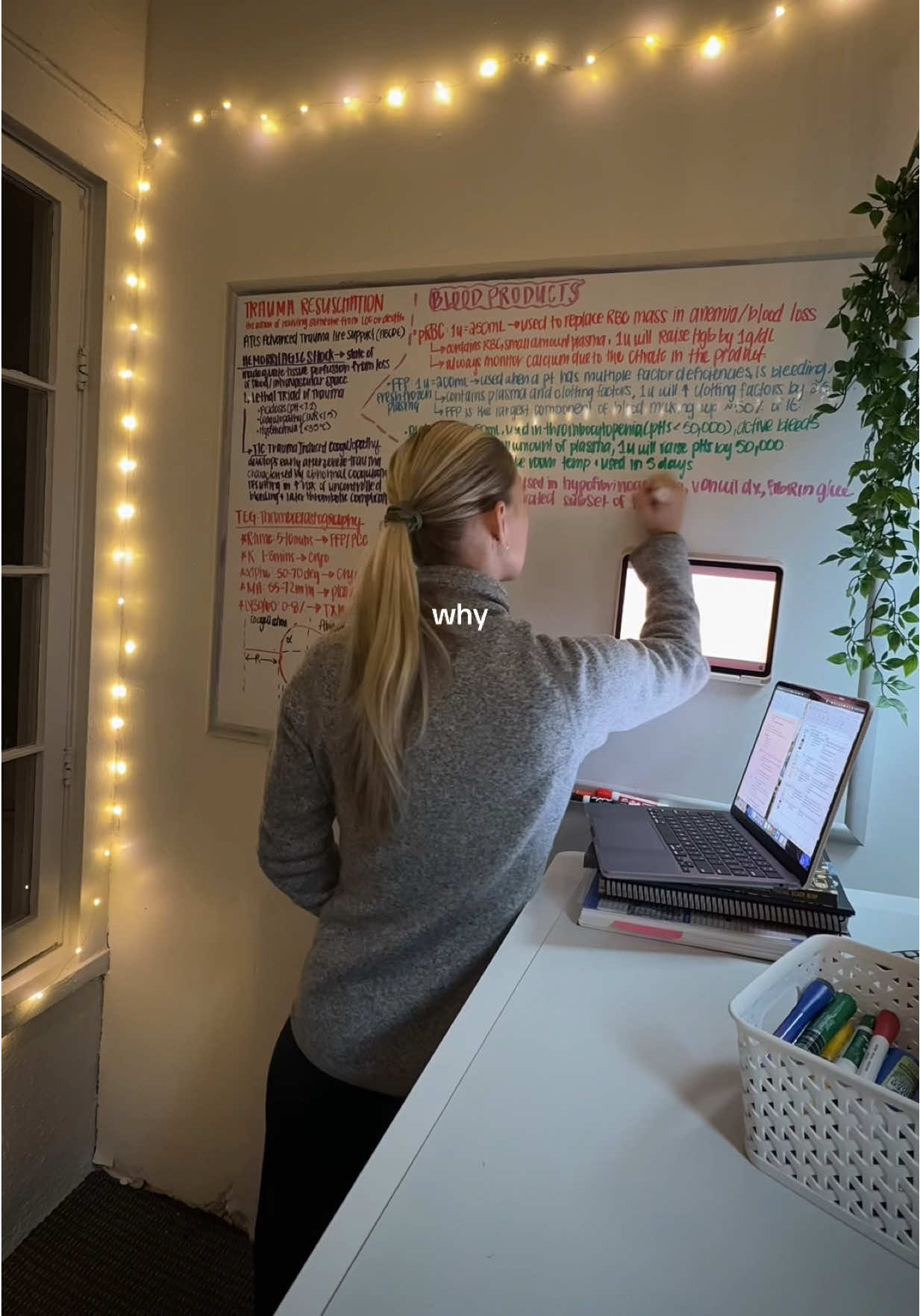 you’ve got what it takes 📚📖✏️👩🏼‍🏫🫀🩺🥼 #studymotivation #studyaesthetic #studygrind #pharmacyschool 