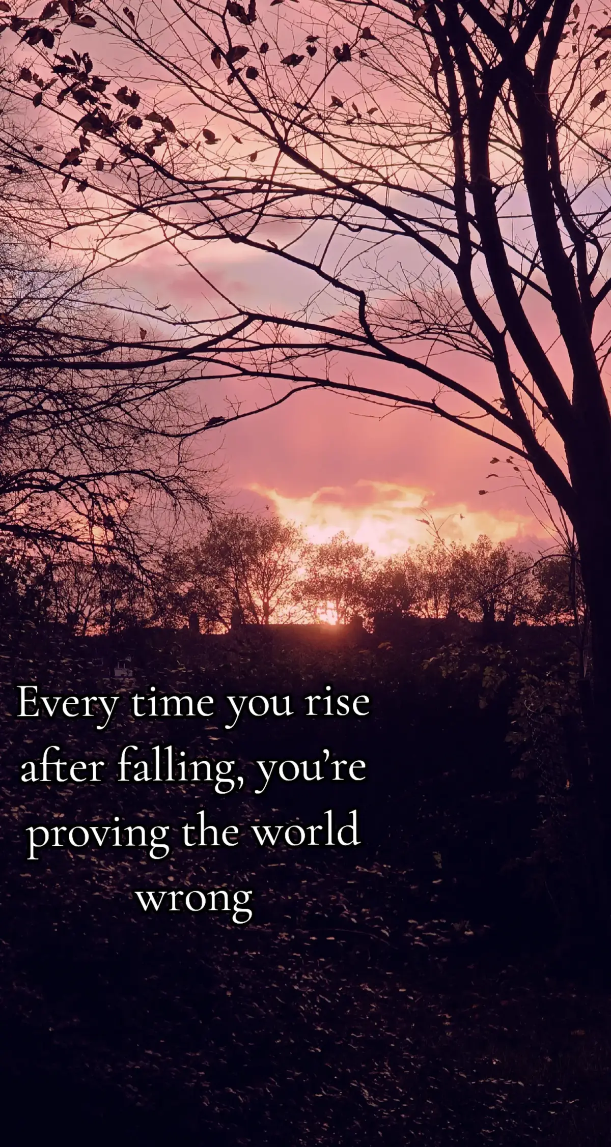 I’ve been knocked down, doubted, and broken in ways I never saw coming but every time, I’ve found a way to rise. Not because it was easy, but because something inside me refused to stay down. I rise softer, wiser, and stronger each time no longer chasing who I was, but becoming who I’m meant to be. My strength doesn’t roar anymore… it speaks quietly in the way I keep going 💪 #keepgoing #keepgoingdontgiveup #beproudofwhoyouare #motivationalquotes #stronger 