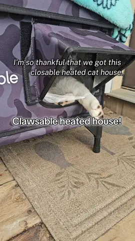 Clawsable heated cat house is the perfect way to spoil your outdoor cat. It has insulation, plug in heating pad, entry door and escape door. It provides protection from the chilly weather and it offers a place of safety and comfort. #clawsable #catsoftiktok #warm #spoiled #cat 