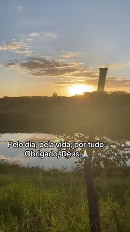 🙏🏻🤍🍃 #deus #nordeste #fyp #viraltiktok #foryou 