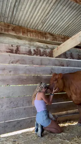 My little pumpkin pie 🥧  Some days we don’t need words to communicate #spookyseason #cows #funnyfarm #soulmate 