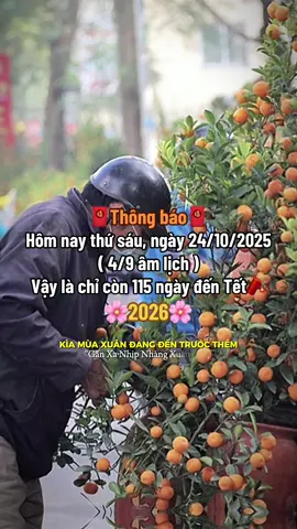 Sắp Tết rồi … sắm đồ tết thôi🤗🥰🌸🧧#tetnguyendan2026🧧🎆🧨 #CapCut #fyp #xuhuong #thinhhanh 