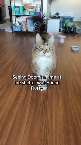 Forgot we were in the presence of royalty all this time 