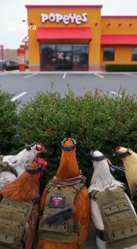 chickens fight back against Popeyes chicken!!  #funnyanimals #popeyes #chicken #funnyvideos #chickencommandos 