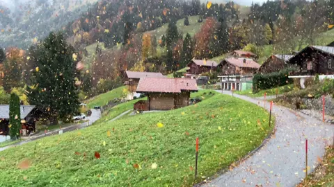 Herbststurm Benjamin gab Vollgas um die Bäume zu entblättern 🍂🍁 #fyp#fypviralシ#sturm#fürdich #autumn 