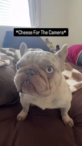 I Thought It Was Funny…😂