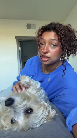 bella is a paid actor at this point #fyp #dogsoftiktok #dogmom #trending 