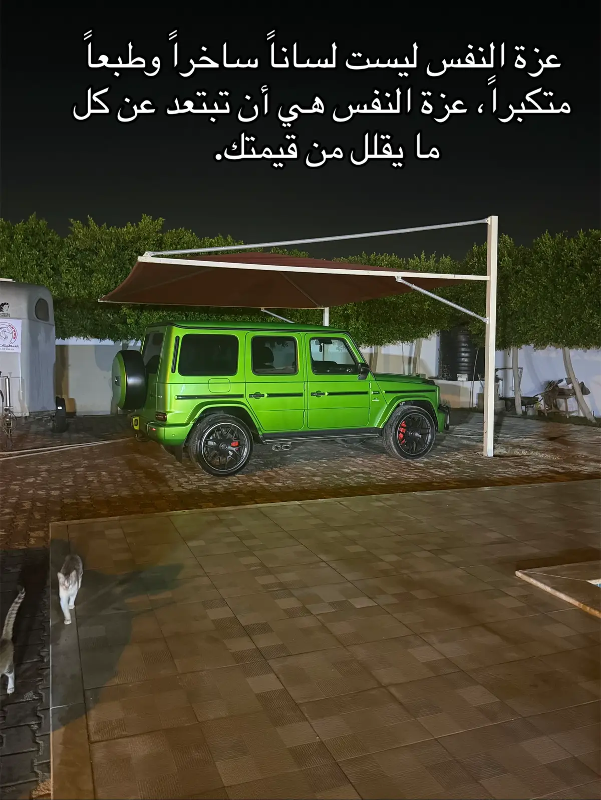 #بنغازي_ليبيا🇱🇾 #طرابلس_ليبيا_بنغازي_طبرق_درنه_زاويه♥️🇱🇾 #الامارات_العربية_المتحده🇦🇪 #الخليج_العربي_اردن_عمان_مصر_تونس_المغرب #سبها_ليبيا_الجنوب_الليبي_المنشية❤🔥🔥 