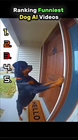 Ranking Funniest Dog AI Videos#funny #ranking #soraai #top5 #funnydog