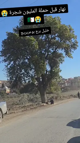 كارثة . يوم قبل حملة غرس المليون شجرة #الجزائر_الخضراء @الجزائر الخضراء @صديق الشجرة 