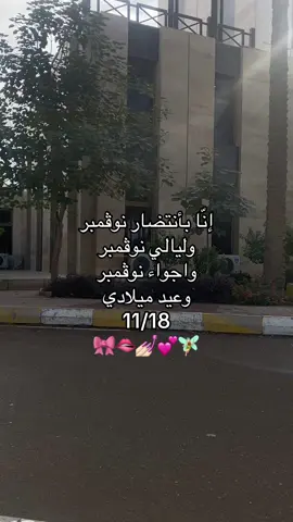 #الشتاء🎻🎼 #نوفمبر #مطر #عيدميلاد #fyppppppppppppppppppppppp 