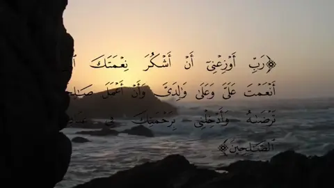 #fyp #explore #قران_كريم #كامل_يوسف_البهتيمي #foryou 