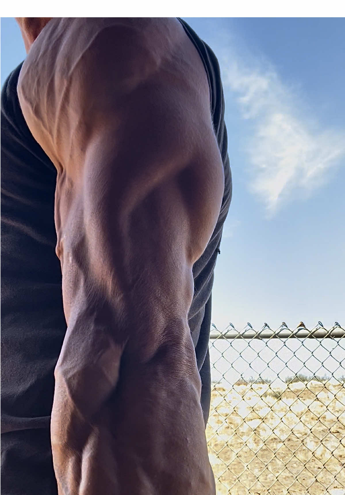 Blood flow so diabolical the flies 🪰 can taste it. #arms #physique #natty #gymmotivation #Fitness 