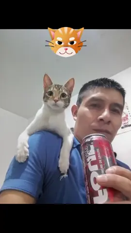 #LIVEIncentiveProgram 