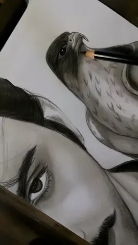 #في هذا اليوم 