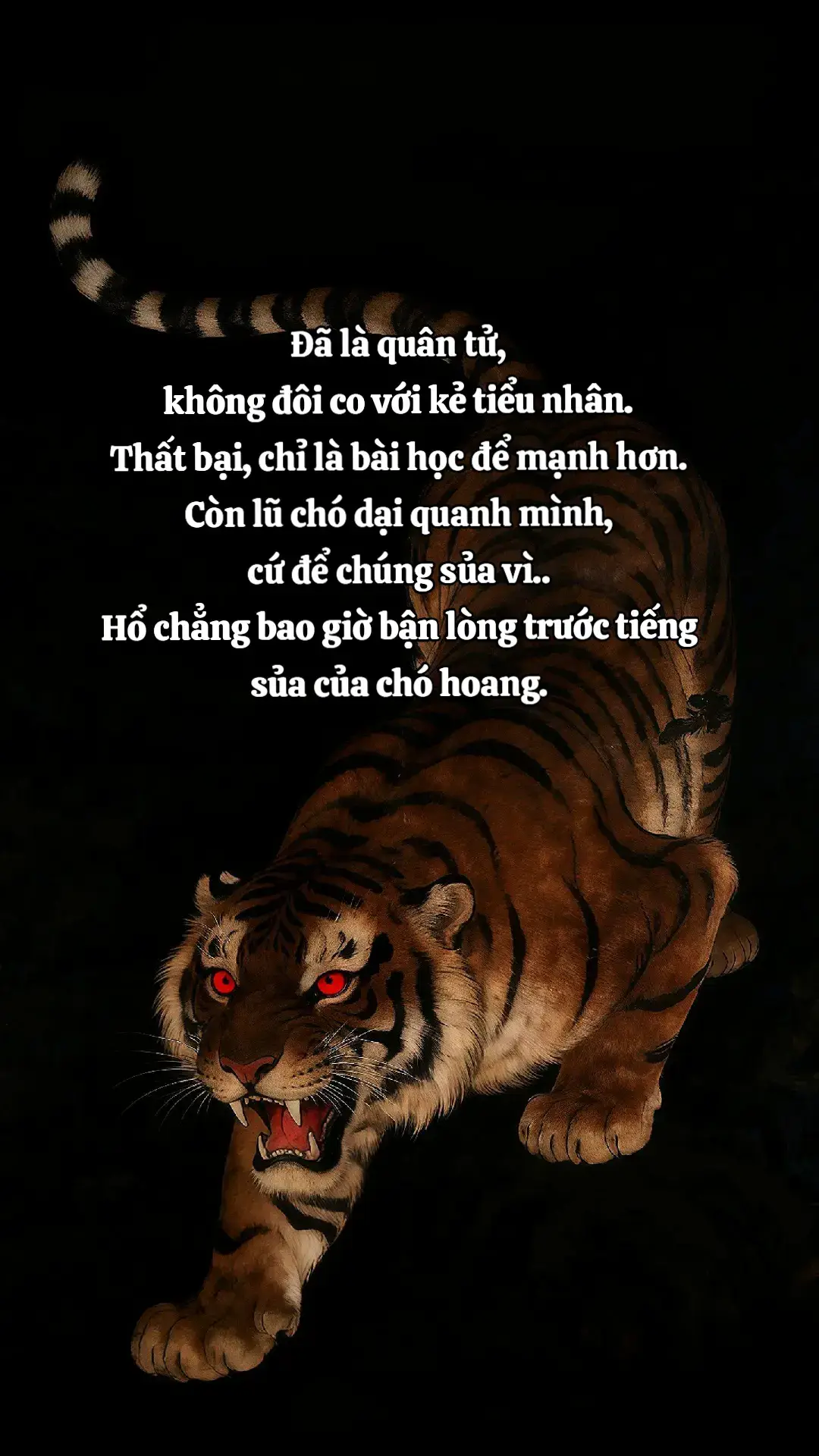 Hổ chẳng bao giờ bận lòng trước tiếng sủa của chó hoang. #xh #luatdoi #fyp #ho #trietlysong 
