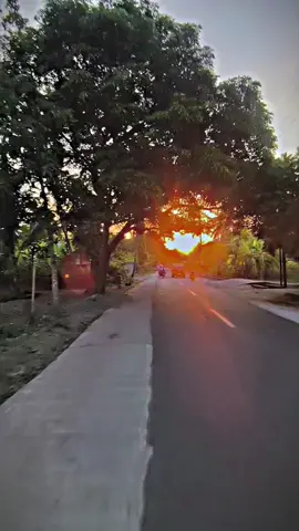 #MEBUNG#ALOR #nttpride🏝🔥fypシviraltiktokfyp #promomakangajian #firalllllllewatfypppberandamu 