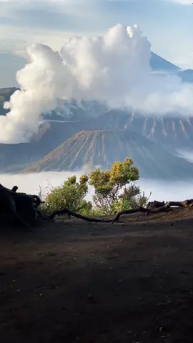 Bromo 24 Oktober 2025 Yakin bulan ini ga ke bromo? 🙄 - Private trip Bromo dm #bromo #fyp #pakejbromo #bromotrip #fgbromo 