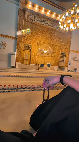 اے کُن فیکُون کے مالک ہم سب کی پریشاناں دور فرما”اور ہم پر اپنی رحمت کے دروازے کھول دے=آمین🥹🤲🏻#Thanks3Mvewis #صلی_اللہ_علیه_وآله_وسلم #