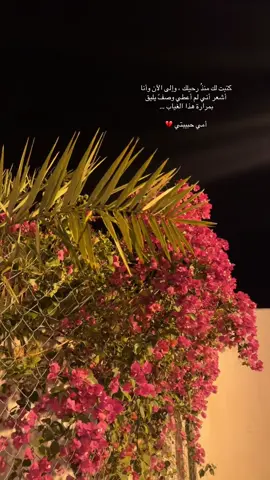 #الاكسبلور🔥 #أمي #لاتنسونها_من_دعواتكم #💔😔 