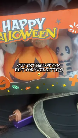 milo was camera shy #halloweentoys #halloweencattoys #catniptoys #cattoys 