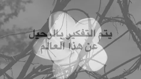 ..      #اكسبلور #explore #الشعب_الصيني_ماله_حل😂😂 #كثرو_الحرامية #حزين 