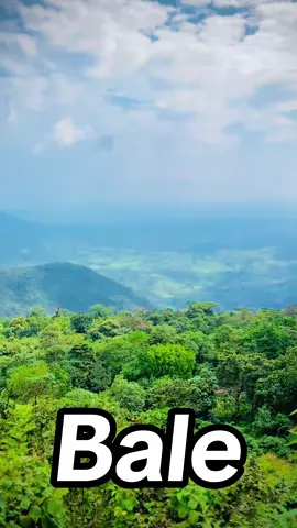 ##ethiopian_tik_tok🇪🇹🇪🇹🇪🇹🇪🇹 