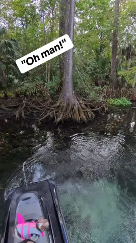 Never know what you will find in #Florida #natural #wildlife #springs #paradise