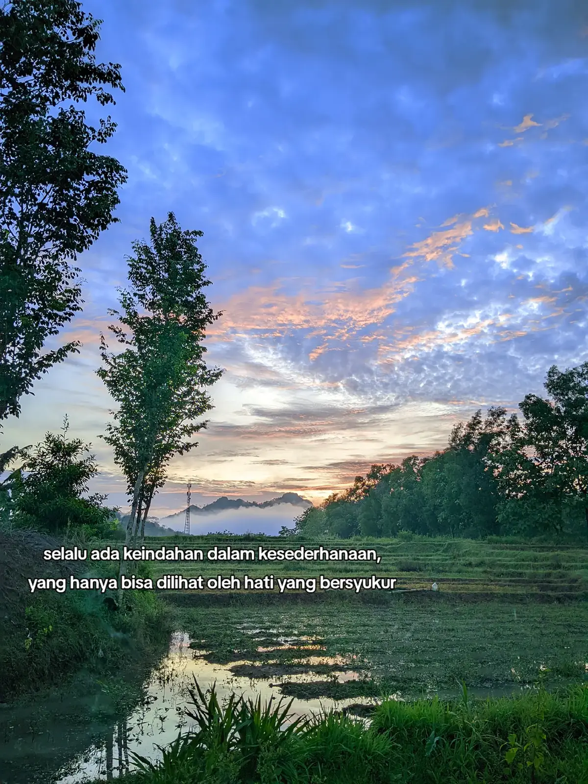 #foryoupage #4u #pyf 