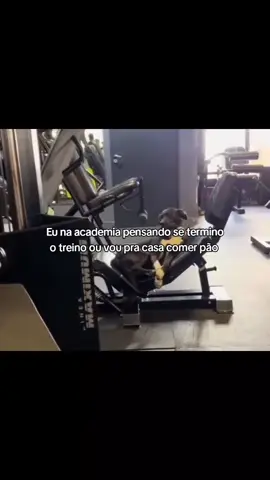 Segue para mais conteúdos  #gym #academia 