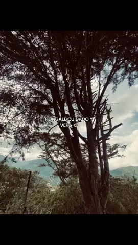 🧏🏻‍♂️🧏🏻‍♂️. #suerte #motivation #paratii #metasysueños 