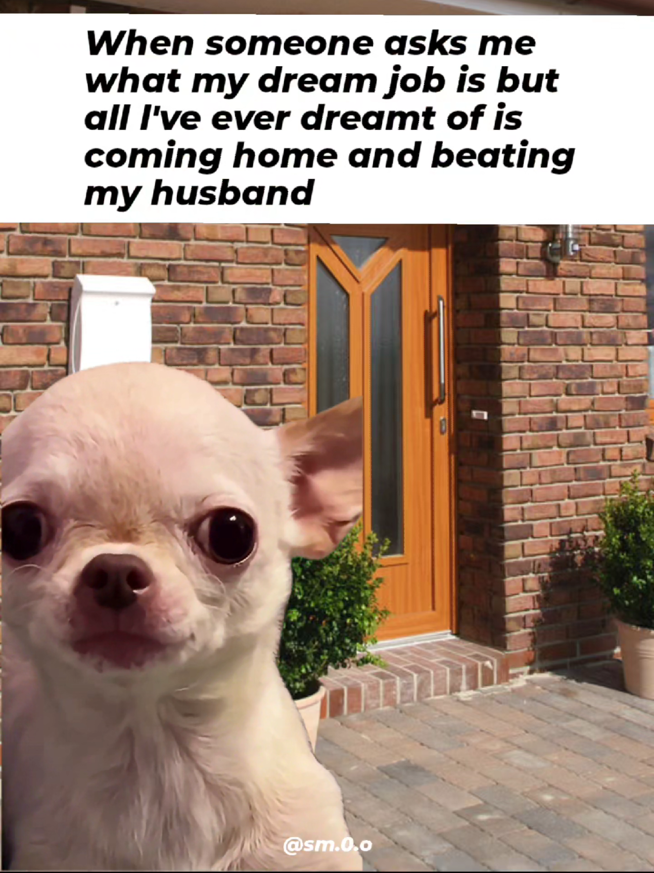 😂 Follow this page for more evil and hilarious memes and join the future global meme empire. Follow now before it’s too late and this page is hot and famous  😈😂 Evil Dog Merch in Bio! Want something custom? We’ll make it for you instantly! 🐶 #diabolical #relatable #evildog #memes #toxic 