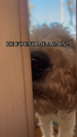 This dude is obsessed. 