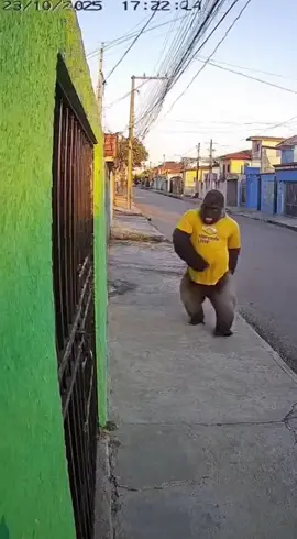 Parte1 | Gorila se lascando novamente nas entregas kkkkk agora no mercado livre #humor #sora2 #mercadolivre #meme #gorilao 