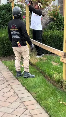 Amgr framing nunca digas no siempre al millon