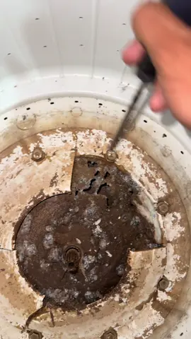 Não use sabão em pó na sua máquina 