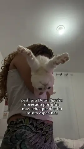 esqueci de especificar 🥹 #gatosfofos #viralvideos #vaiprafy 
