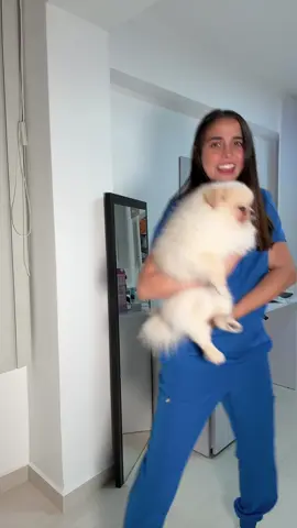 Amo mi perrito