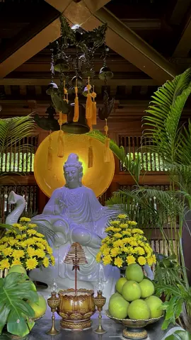 #CapCut nguyện cho con gặp được mối duyên lành. Tình yêu thiện lành sớm nở 🌼 .131224# nammoadidaphat#nammoquantheambotat #nammobonsuthichcamauniphat 