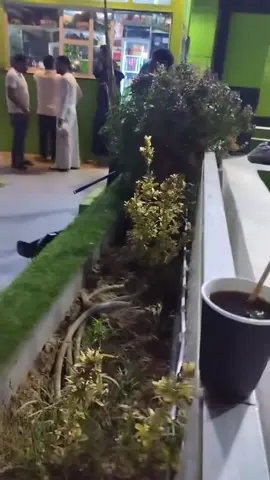 ☕️☕️☕️☕️