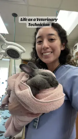 Work is always pretty interesting! @wearfigs  #group7 #vettechtok #veterinarymedicine #fyp #wearfigs 