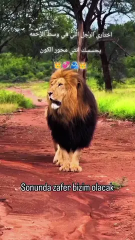 تحضني اريد اه يالبعيد كامله