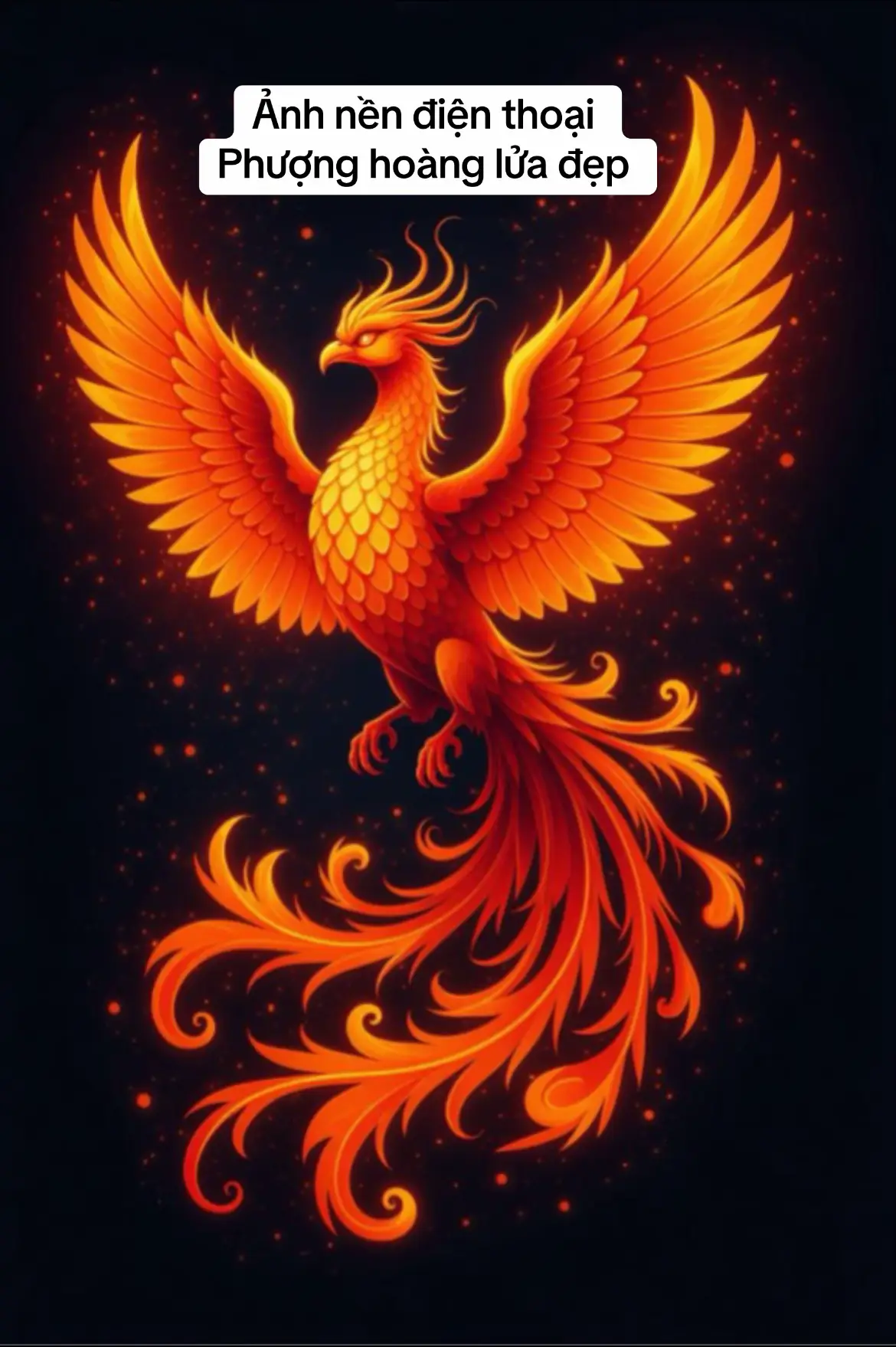 Ảnh nền màn hình điện thoại Phượng hoàng lửa may mắn #anhnendienthoai #wallpaper #ảnhđẹp 