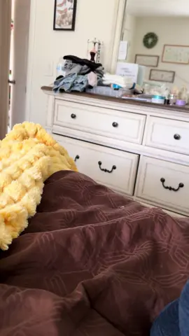 👀 🐶 🤣 #peekaboo #vinny #toypoodle #jumpingdog 