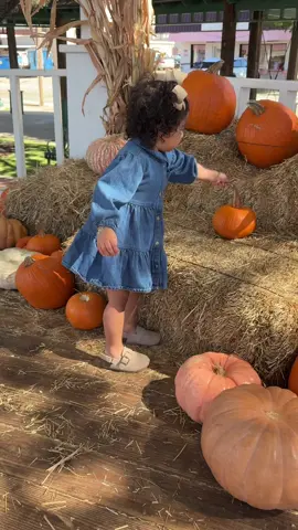 First pumpkin patch with my baby ! 🍂 #pumpkinpatch #datenight #fyp #dallastx #october Halls pumpkin farm in grapevine TX ! 